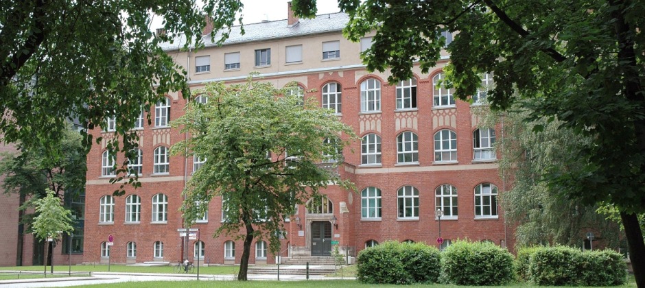 The Pathology Institute